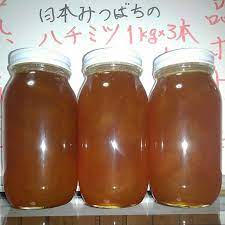 宮崎県産 百花はちみつ 3kg(1kg×3本) 天然 蜂蜜 ハチミツ | www.mpslsw.gov.zw
