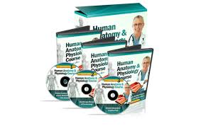 Human Anatomy & Physiology Course