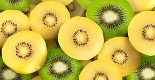 Gold Kiwi Novel Prebiotic Could Reduce Risk Of Gastrointestinal Disorders New Zealand Trial