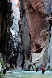 Hiking The Narrows At Zion National Park One Of The Coolest National Parks Out West Zionnationalpark Hiking The Narrows National Parks Utah National Parks