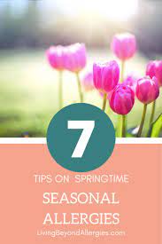 Pin On Springtime