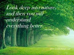 Nature is the phenomena of the physical world collectively, including plants, animals, the landscape, and other features and products of the earth, as opposed to humans or human creations. Quotes About Beauty In Nature 201 Quotes