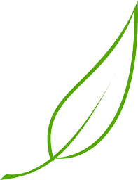 Pin On Banner Art