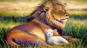 The understood physical attributes of each earthly creature often point to the spiritual attributes of jesus, who is as powerful and majestic as a lion and innocent as a sacrificial lamb. 47 Lion And Lamb Wallpaper On Wallpapersafari