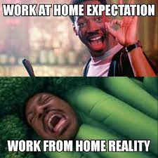 Mar 28, 2021 · expectation vs reality meme 2020; Working From Home Expectation Vs Reality Memes