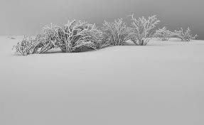 Archival pigment print on baryta surface fine art paper: Winter White Snow Aesthetic Black And White Seasons Winter Nature Landscape Hd Wallpaper Wallpaperbetter
