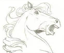 This lesson is designed so that beginners can follow along without being daunted by too much detail. Image Result For Wild Mustangs Hidden Pics Drawings Horse Head Drawing Horse Drawings Horse Sketch