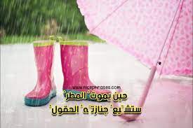 شعر شعبي عن المطر عبارات جميلة