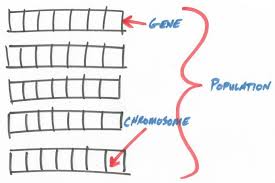 Genetic Algorithm Key Terms Explained Genetic Algorithm Algorithm Genetics