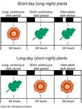 Environmental factors affecting plant growth | OSU Extension ...