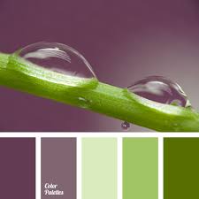 We did not find results for: Green And Beige Color Palette Ideas