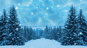 Please contact us if you want to publish an anime aesthetic wallpaper on our site. Aesthetic Christmas Tree Anime Background Largest Wallpaper Portal