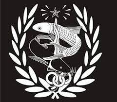 Persela Lamongan Wallpaper For Android Apk Download Amazon Com Persela Lamongan Indonesia Football Soccer Persel Wallpaper Sepak Bola Selai Kaos Sepak Bola