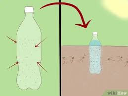 You can get cold drink from the market or get it in a plastic bottle. 3 Ways To Reuse Plastic Bottles For Your Garden Wikihow
