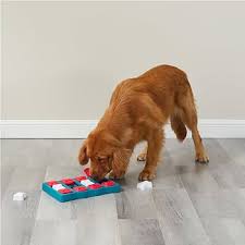 Outward Hound Nina Ottosson Dog Brick Puzzle 