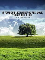 How could you not be hopeful if you've got a tree around? ― ross spears. If You Dont Like Where You Are Move You Are Not A Tree Picture Quotes Tree Quotes Motivational Picture Quotes