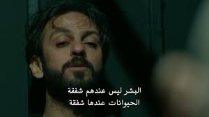 ماذا قال أخونا فارتولو سعد الدين vartolllu twitter movie quotes funny quotes for book lovers fun quotes funny