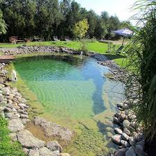 natural swimming pool 15 most beautiful ideas to inspire you recipegood com exteriores piscine et jardin amenagement jardin bassin amenagement jardin