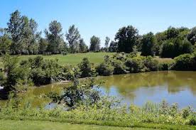 If you are looking to golf while in lake erie, this newly opened golf course, designed by darrell huxham, welcomes members of the public. Port Dover Golf Club Opening Hours 580 Lynn Valley Rd Port Dover On