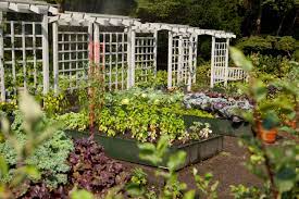 From your friends at the home & garden center. Home Gardening Center Page 6 Plant Talk