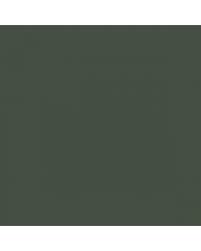 Image result for Shoal Green 1950 Ford Truck