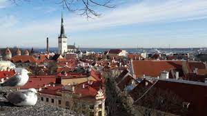 Du bist länger als einen tag in tallinn oder möchtest noch mehr eindrücke von tallinn? Die Marchenhafte Altstadt Von Tallinn Sehenswurdigkeiten Und Tipps