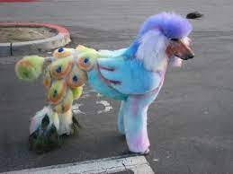 Pin On Animals