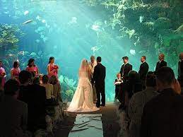 What A Unique Idea Aquarium Wedding Unusual Wedding Venues Wedding Venues