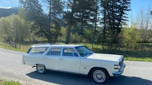 Image result for Frost White 1966 AMC
