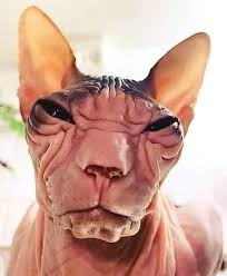 A great photograph ❤️🥰