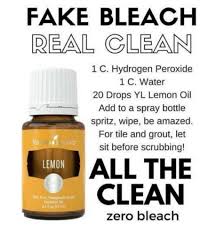 A good class/party needs food right? From Https Www Facebook Com Recipeswithessentialoils Xts 0 68 Arazqvu8jpoohpq95ddhlygx0wch2gt0qzapf Essential Oils Cleaning Living Essentials Oils Oils