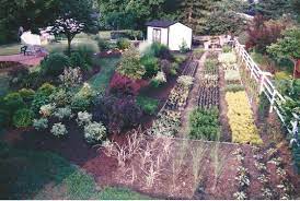 Mike S First Backyard Nursery Plant Nursery Backyard Plants Landscape Design