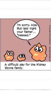 See more ideas about kidney stones funny, humor, medical humor. Lol A Little Humor For My Not So Humorous Kidney Stones In My Kidneys Lisa Phillips Barton Stone Stone Family Worklad Medical Humor Kidney Stones Funny Ultrasound Humor