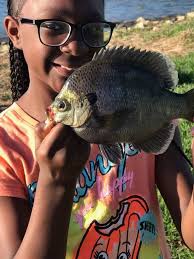 Where to buy crickets for fishing?