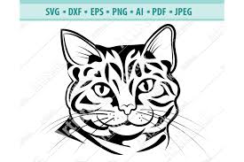 Download Kits How To Cat Svg Bundle Cat Cut Files Dxf Cat Breeds Svg Cut File Cat Png Files For Cricut Cat Clip Art 9 Cat Silhouettes Cat Clipart Shapes Craft Supplies