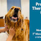 Press Paws! Therapy Dogs For Teens (ages 11-18) event image