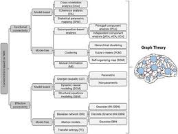 Frontiers Application Of Graph Theory For Identifying