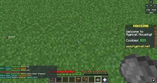 You can find the players by nickname or uuid, and see which servers he played, how much time he spent on each server, when he last played, how. Cookie Counter Glitch Hypixel Minecraft Server And Maps