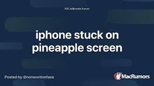 The vibes will remind you of those sunny warm beaches and pina coladas every time you unlock your screen. Iphone Stuck On Pineapple Screen Macrumors Forums