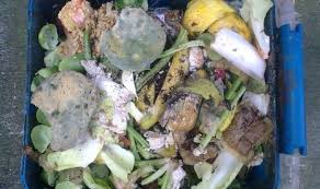 Coba tebak makanan lezat apa saja yang bisa dibuat dari makanan sisa berikut terungkap mengapa makanan sisa semalam punya rasa lebih lezat, ini sebabnya. Cara Membuat Pupuk Organik Dari Sisa Bahan Makanan Di Dapur Republika Online