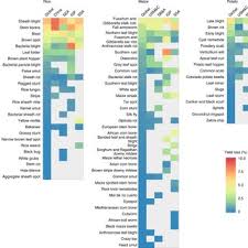Injury spots by insects results in disease attacks in crops. The Global Burden Of Pathogens And Pests On Major Food Crops Request Pdf