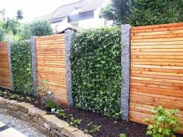 Schnellwachsende Hecke Efeuhecke Deutschland Utting Pflanzfertige Heckenelemente Efeuhecke Garten Gartengestaltung