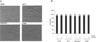 In the modern era, it is also being promoted as a healthy &amp; Secreted Primary Human Malignant Mesothelioma Exosome Signature Reflects Oncogenic Cargo Scientific Reports