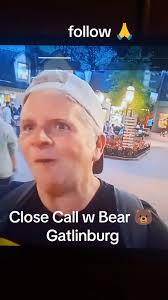 Bear Sighting Gatlinburg Tn 2024