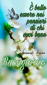 Buongiorno Immagini Per Ogni Occasione Good Morning Quotes Good Morning Good Night Good Morning