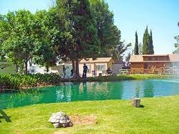 Cherry valley lakes rv resort photos. Cherry Valley Lakes Resort Rv Camping Near Palm Springs Youtube