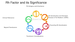 Image result for Rh Sensitization
