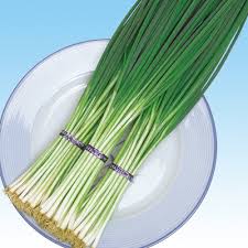 鴨頭ねぎ 野菜の種の通信販売 中原採種場 株