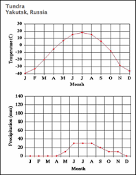 weather the tundra biome