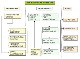 We have yet to find a… we stay up to date on the latest pests invading the palm desert area and the most effective ways to treat them so you can get back to living your life without the nuisance of. Insects And Other Animals In Tropical Forests Springerlink